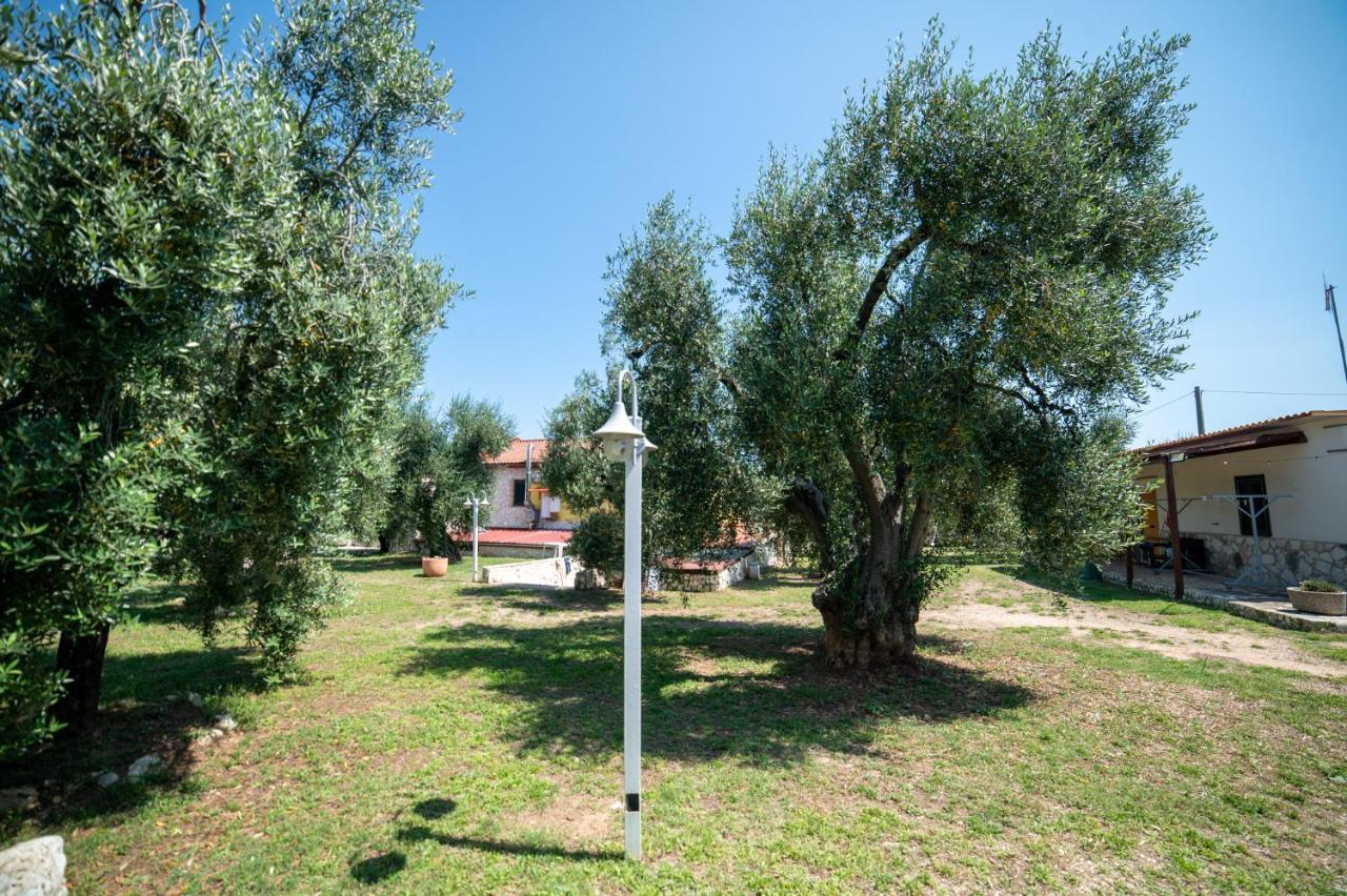 Coppola Rossa Relax Panzió Vieste Kültér fotó